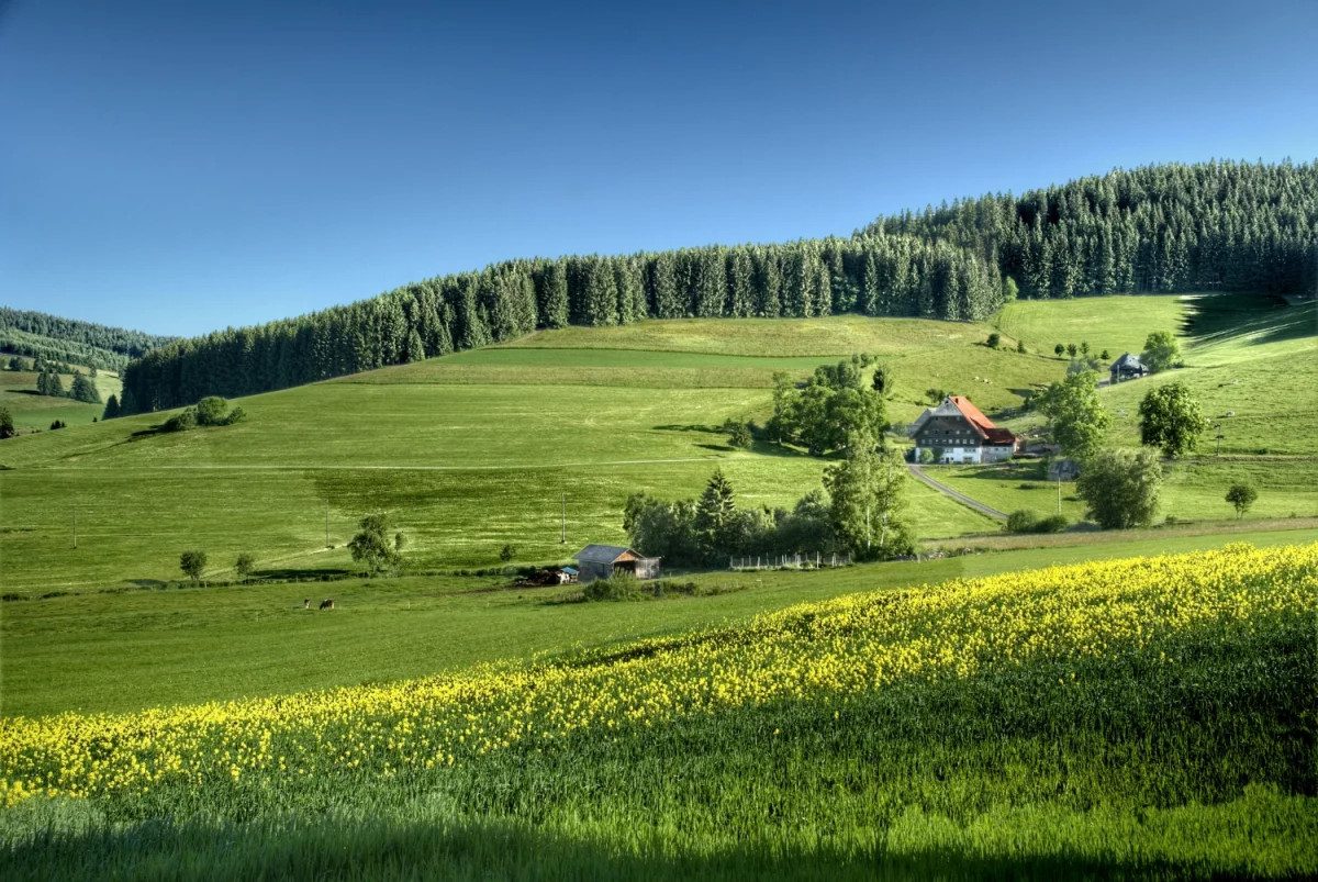 Sposoby na reklamę w internecie: Skuteczne metody, które przyciągną klientów!
