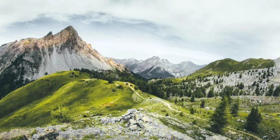 Sposoby na reklamę w internecie: Jak skutecznie promować swoją markę w sieci